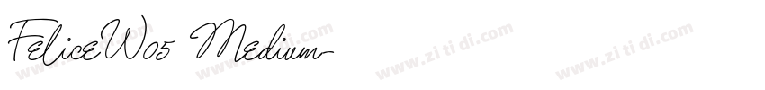 FeliceW05 Medium字体转换